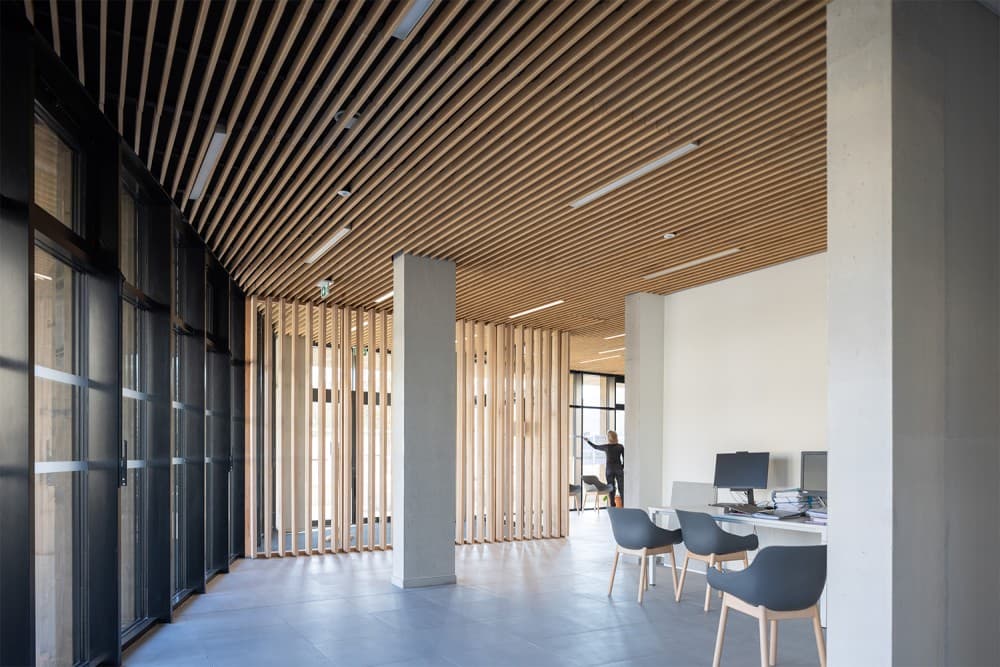 Bureaux au plafond bois acoustique Ardemo, matériau sourcé et durable