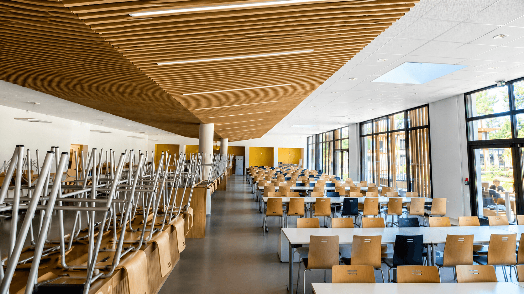 Réfectoire scolaire au plafond bois acoustique Ardemo Ecogrid en lattes