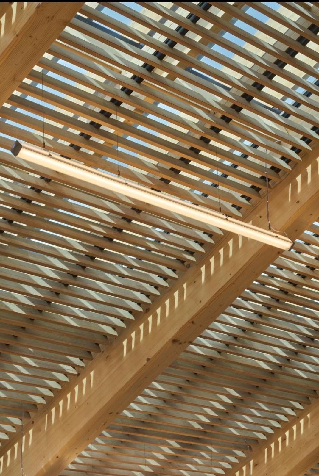 Plafond bois acoustique Ardemo au Salon VIP de l'aéroport d'Orly, la sous-face traitée comme une façade